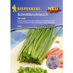 Knoblauch-Samen Kiepenkerl, Schnittknoblauch Fat Leaf
