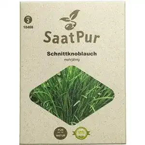 Knoblauch-Samen