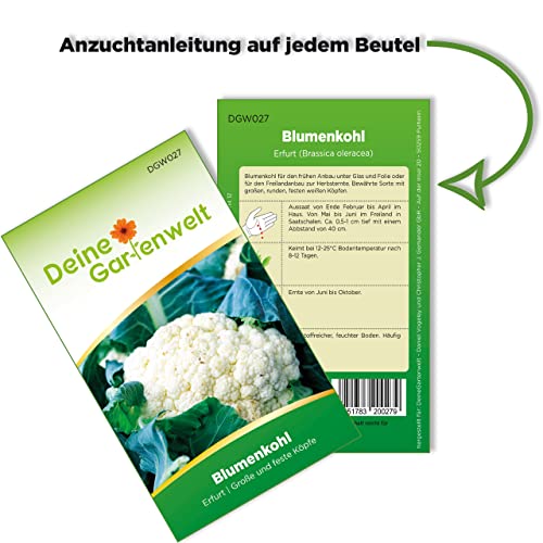 Kohl-Samen Deine Gartenwelt Blumenkohl Erfurt Samen