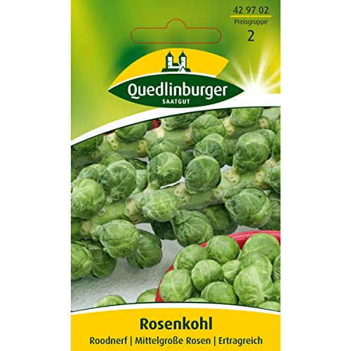Kohl-Samen Quedlinburger Rosenkohl, Roodnerf