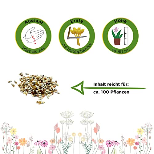 Kornblumen-Samen Deine Gartenwelt, Gefüllte Mischung Samen