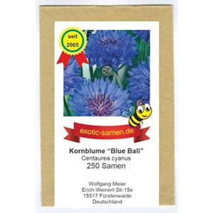Kornblumen-Samen exotic-samen Centaurea cyanus “Blue Ball”