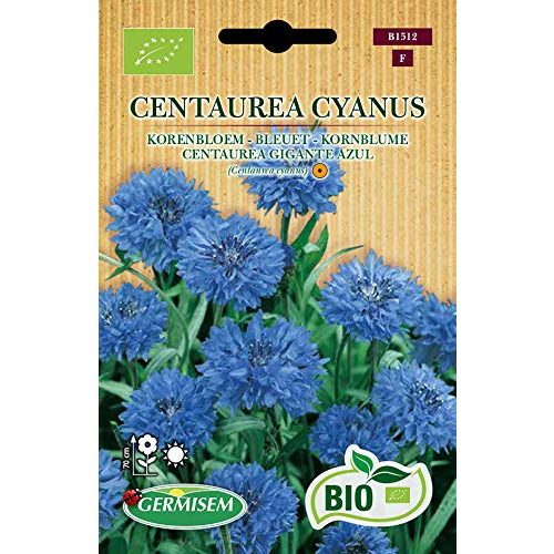 Die beste kornblumen samen germisem kornblume centaurea cyanus Bestsleller kaufen