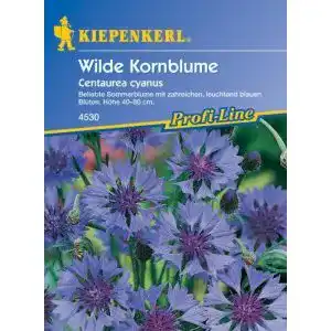 Kornblumen-Samen