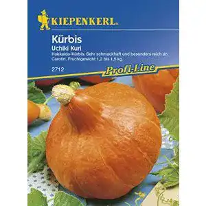 Kürbis-Samen