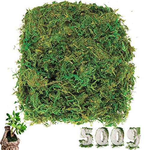 Kunstmoos cersaty ® 500g Künstliches Moss Deko Flechten