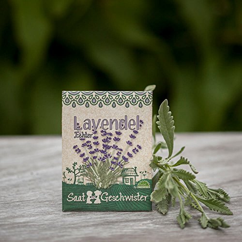 Lavendel-Samen Die Stadtgärtner: Bio-Saatgut Lavendel