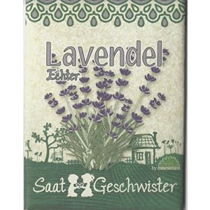 Lavendel-Samen Die Stadtgärtner: Bio-Saatgut Lavendel