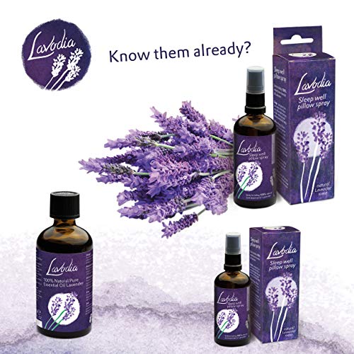Lavendel-Samen LAVODIA Lavendel Samen: für ca. 100 Pflanzen