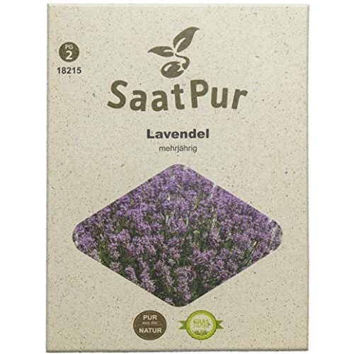 Lavendel-Samen SaatPur Lavendel Samen, für ca. 100 Pflanzen
