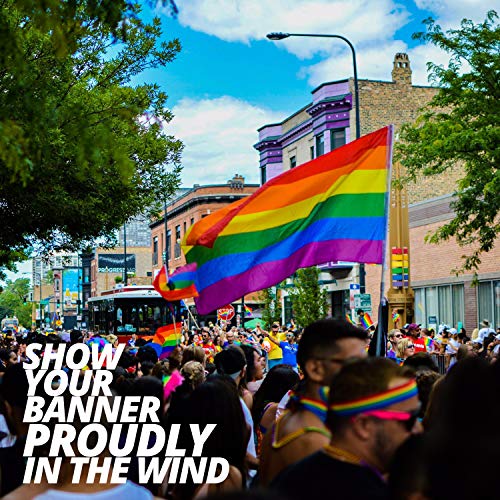 LGBTQ-Flagge Anley Fly Breeze 3×5 Fuß Regenbogenflagge