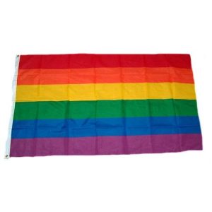 LGBTQ-Flagge FahnenMax Fahne Regenbogen 90 x 150 cm