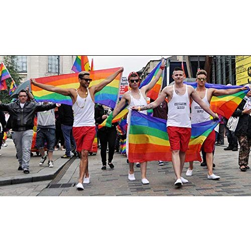 LGBTQ-Flagge Fontee ® 90X150 cm, lebendige Farbe