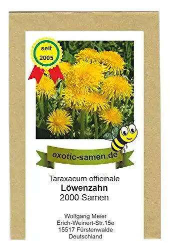 Löwenzahn-Samen exotic-samen Taraxacum officinale, 2000 Samen
