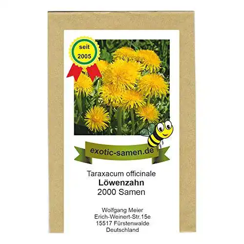 Löwenzahn-Samen exotic-samen Taraxacum officinale, 2000 Samen