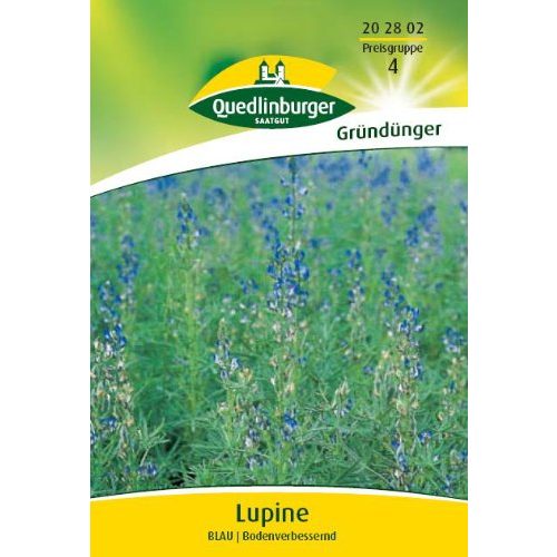 Lupinen Gründünger Quedlinburger Lupine, blau