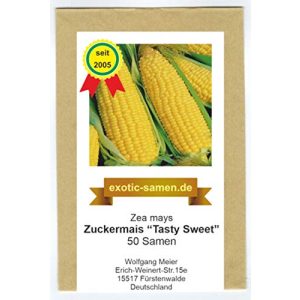 Maissamen exotic-samen Zuckermais Tasty Sweet F1 Hybride
