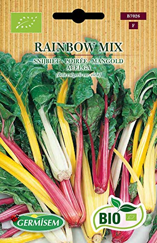Die beste mangold samen germisem mangold rainbow mix ecbio7026 Bestsleller kaufen