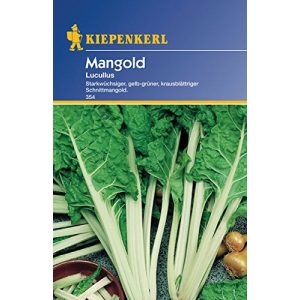 Mangold-Samen