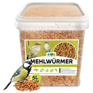 Mealworms EWL natural products dried 800g 5 ltr.