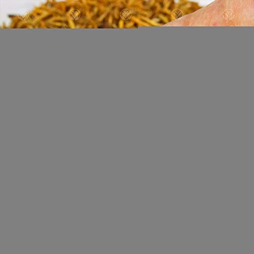 Mehlwürmer GardenersDream Getrocknete 1 kg High Qualität