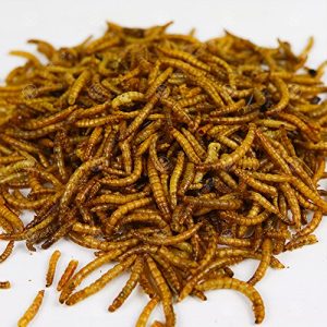 Mealworms GardenersDream Dried 1 kg High Quality