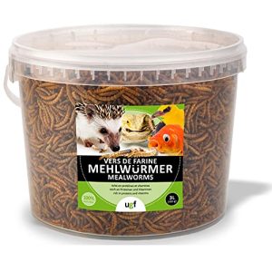 Mealworms UGF Premium dried 3 liter bucket, birdseed