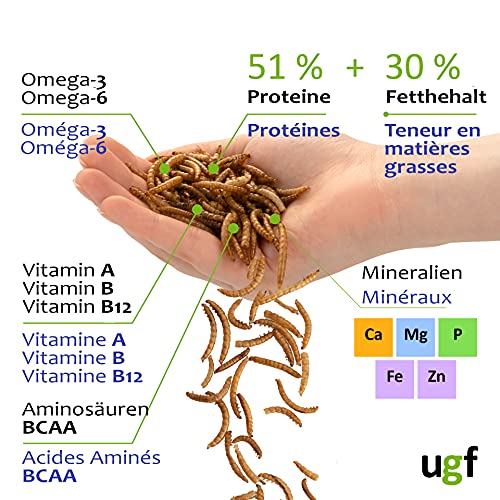 Mehlwürmer UGF Premium getrocknet 3 Liter Eimer, Vogelfutter