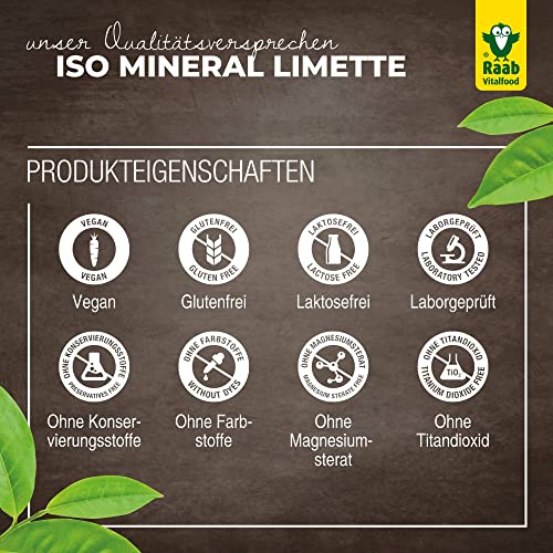 Mineraldrink Raab Vitalfood Iso Mineral Limette, isotonisch, 600 g