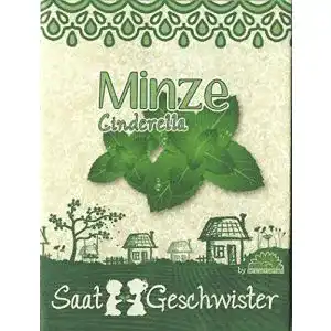 Minze-Samen Die Stadtgärtner Minze “Cinderella”-Saatgut