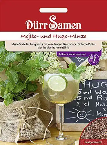 Minze-Samen Dürr-Samen Mojito- und Hugo-Minze Samen