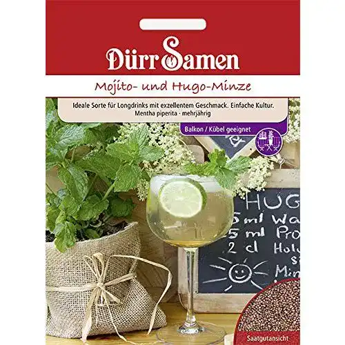 Minze-Samen Dürr-Samen Mojito- und Hugo-Minze Samen