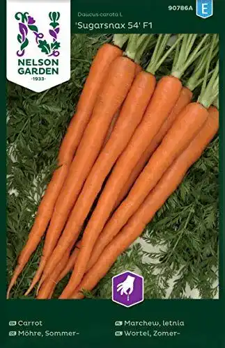 Möhren-Samen Nelson Garden 1933 Möhren Sugarsnax 54 F1