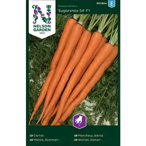 Möhren-Samen Nelson Garden 1933 Möhren Sugarsnax 54 F1