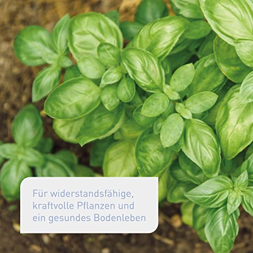 Naturdünger Plantura Bio Universaldünger, 1,5 kg, 100% tierfrei
