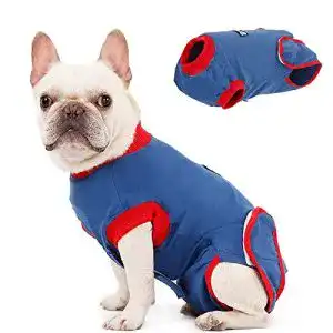 OP-Body Hund Doglemi Recovery Suit Hunde