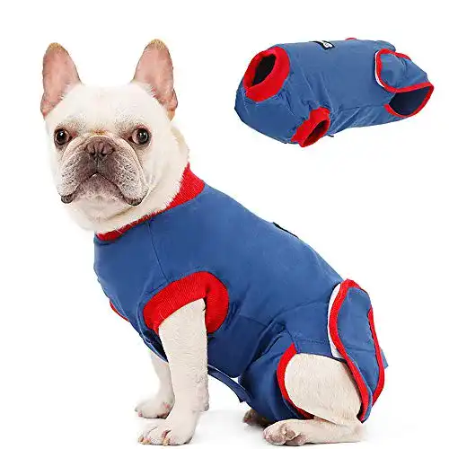 OP-Body Hund Doglemi Recovery Suit Hunde
