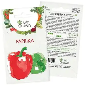 Paprika-Samen