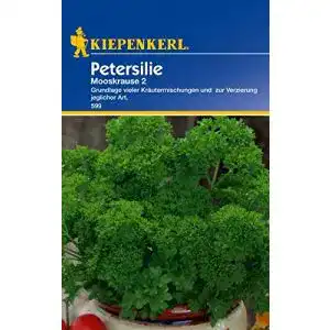 Petersiliensamen