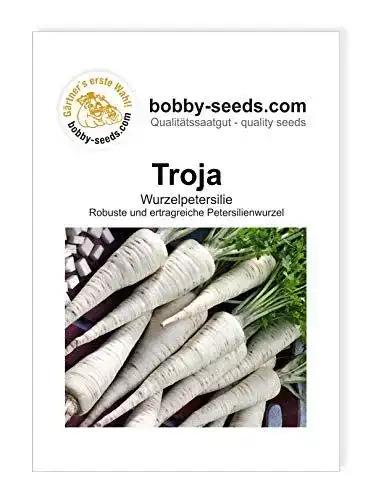 Petersilienwurzel-Samen Gärtner’s erste Wahl! bobby-seeds.com