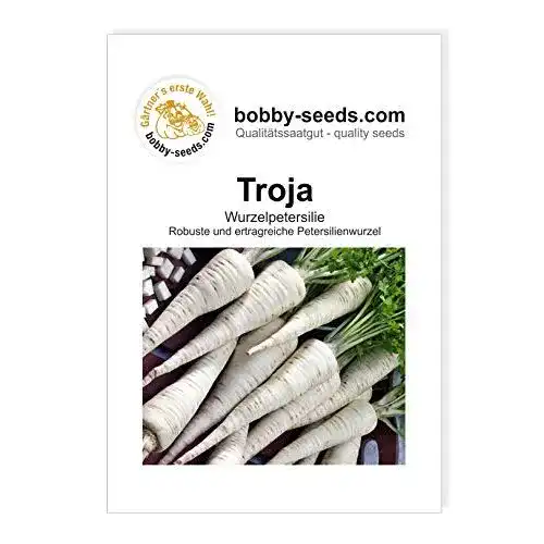 Petersilienwurzel-Samen Gärtner’s erste Wahl! bobby-seeds.com