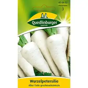 Petersilienwurzel-Samen