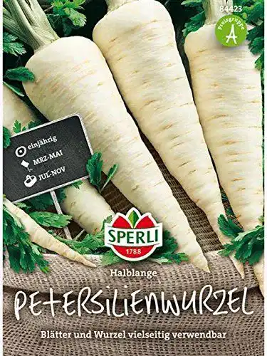 Petersilienwurzel-Samen Sperli – Saatgut Sperli Petersilienwurzel