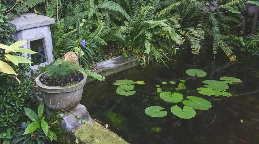 Gartenpumpe Gartenpumpe