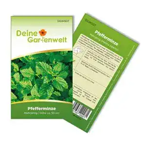 Die beste Pfefferminze-Samen 2026 Test Bestseller Pfefferminze-Samen