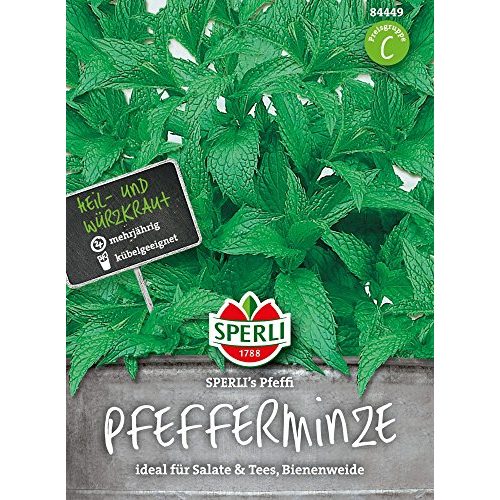 Pfefferminze-Samen Sperli 84449 Premium Pfefferminze Samen