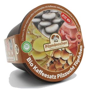 Pilzkultur Pilzmännchen Bio Rosenseitling Kaffeesatz Töpfchen