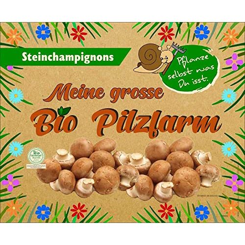 Pilzkultur Pilzmännchen XXL Bio Steinchampignon 10 kg