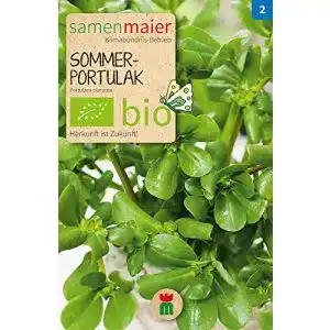 Portulak-Samen