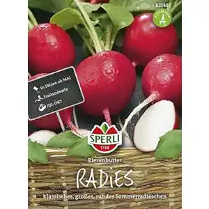 Radieschen-Samen